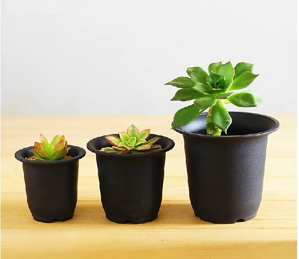 20 шт./лот черный цветочный горшок пластиковая раковина растение кактуса скраб