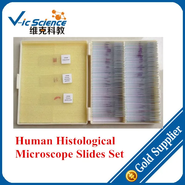 100 шт. образовательная ткань для гистологического исследования подготовленные