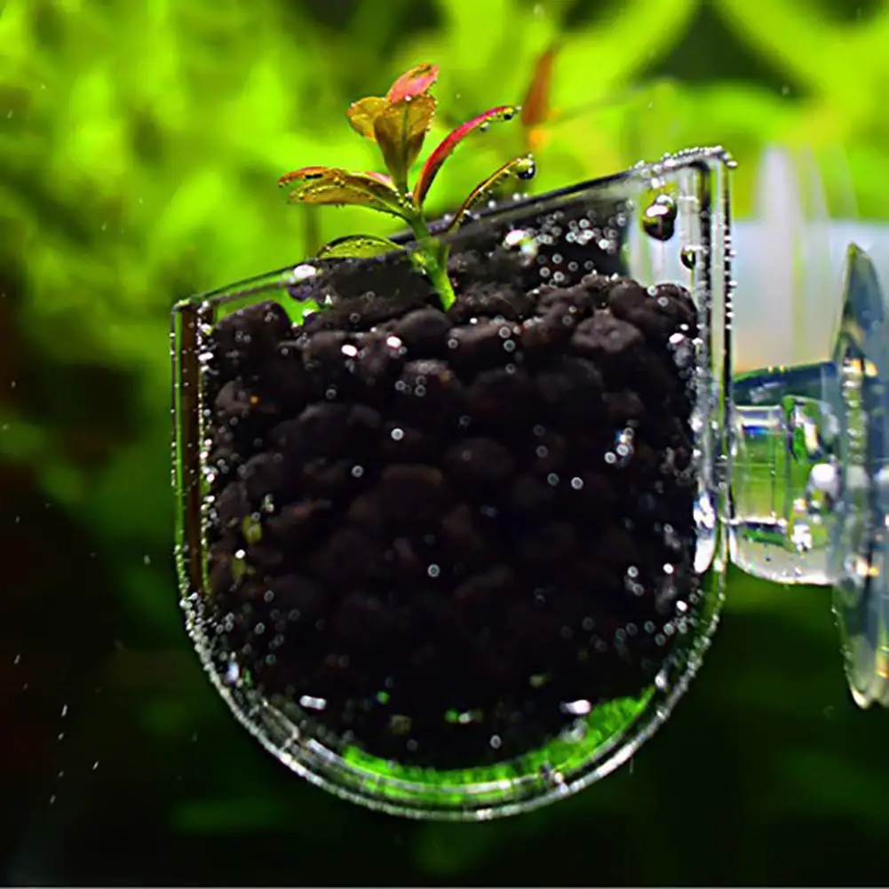 

Creative Aquarium Fish Tank Glass Plant Cup Red Worm Feeding Container Holder Plant Cup Pot Seed Mud for Aquarium Lanscape Decor