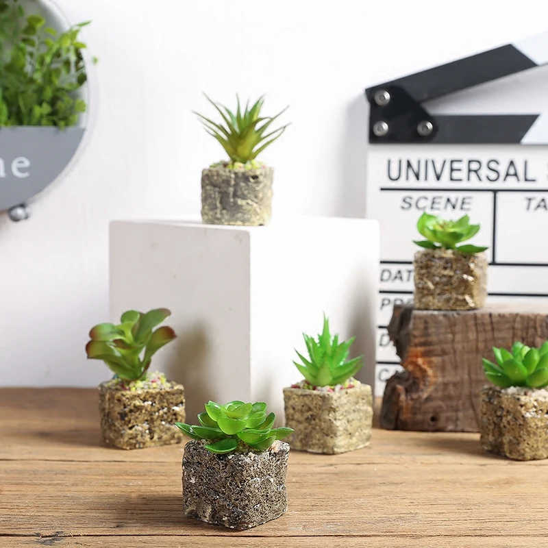 Простота смолы сочное растение для украшения дома аксессуары имитация растения