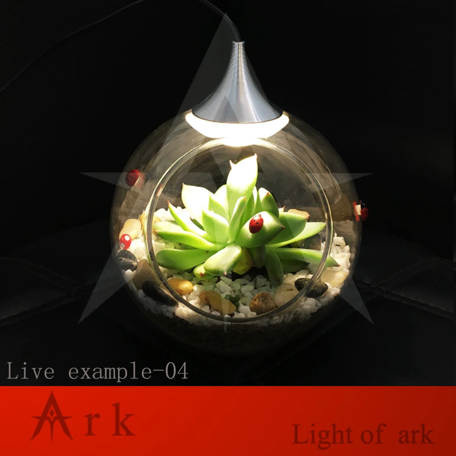 Ковчег свет DIY украшения миниатюрный стеклянный горшок Светодиодная настольная