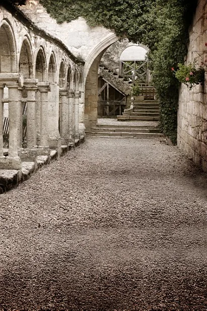 Винтажный дворец винтажный свадебный фон VinylBDS Романтический камень ступенчатый