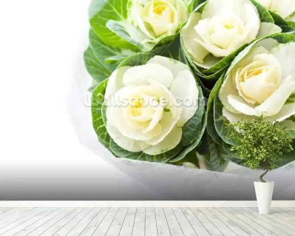 Пользовательские обои Капустные цветы ретро фрески для гостиной спальни диван