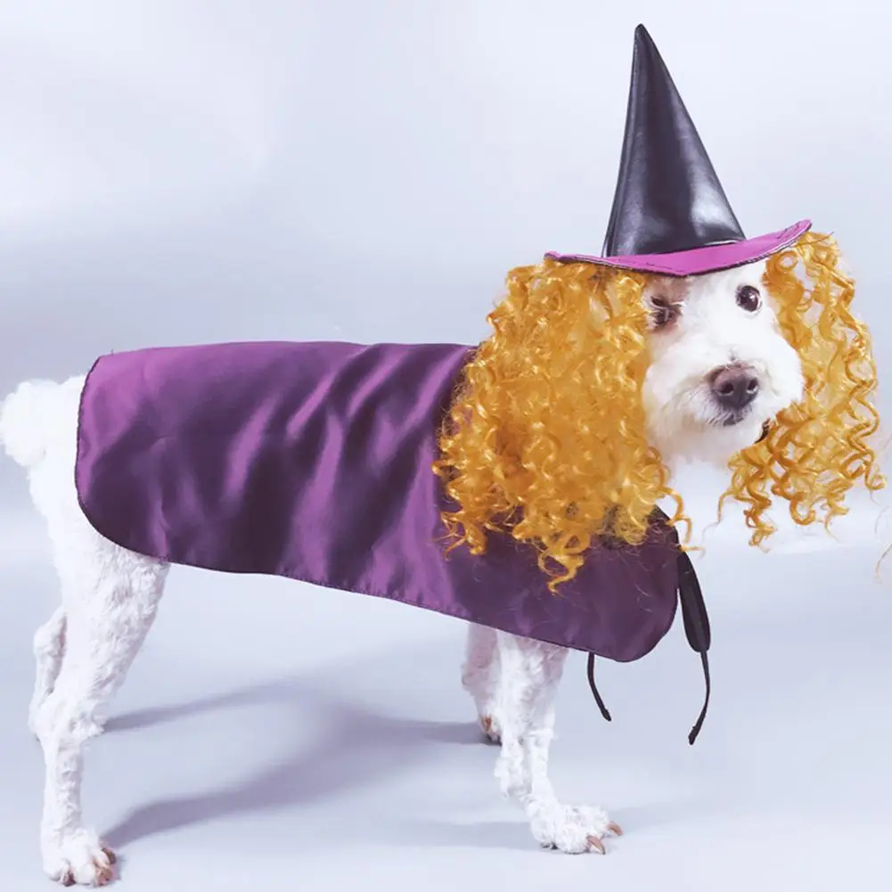 Новый Хэллоуин Косплей ведьмы фиолетовый плащ манекен для шарфа парика костюм