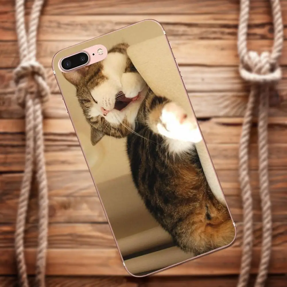 Vvcqod сонный котенка для Apple IPhone X 4 4S 5 5C 5S SE 6 S 7 8 Plus Moto G G2 G3 мягкий из термопластика