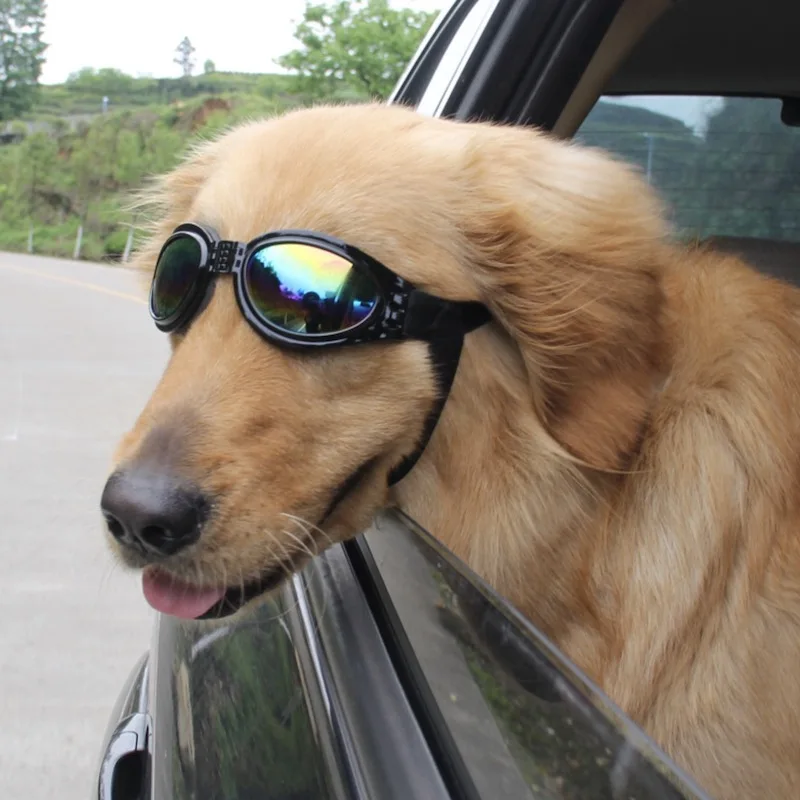High Fashion Dog Eyes Protection Sunglasses Multi-color Cool Pet Grooming UV Glasses Suit For Dogs Weight Over 6 Kgs | Дом и сад