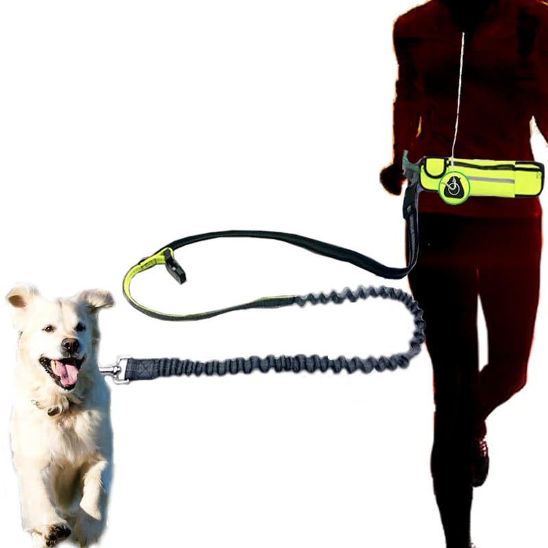 

Hand Free Elastic Dog Leash Adjustable Padded Waist Reflective Running Jogging Walking Pet Lead Belt With Pouch Bags