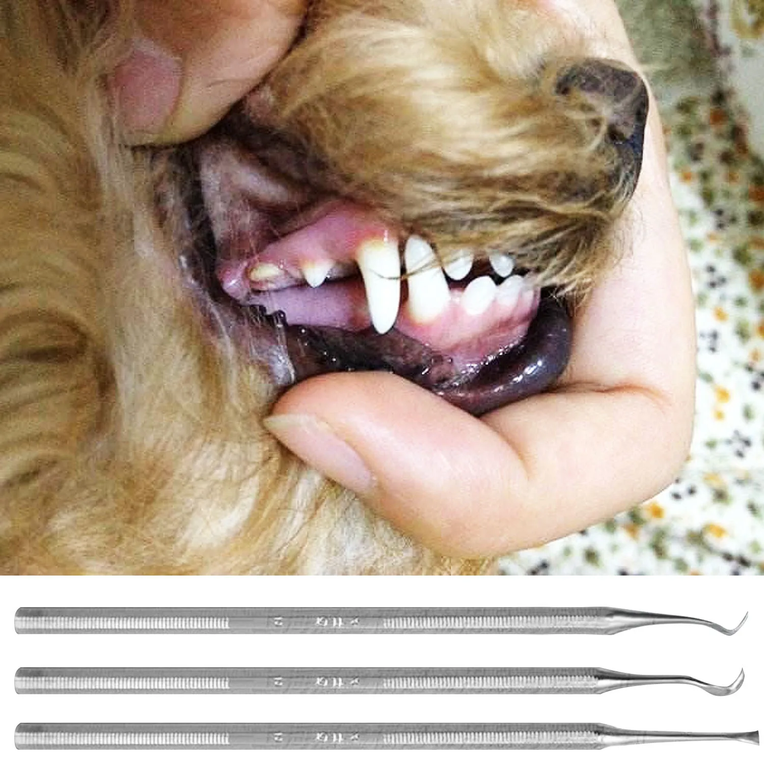 Behogar с одной головкой животных собачьих зубов рыбочистка скребок Pet стоматология