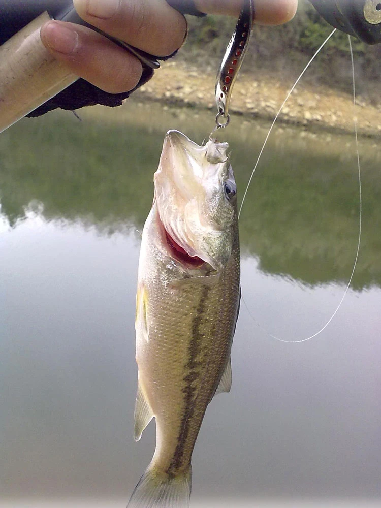 

5Pcs Spoon Fishing Lure 7.5g/10g Pure Metal Artificial Baits Spoon Sequins Mustad Hooks Peche Pesca Wobblers