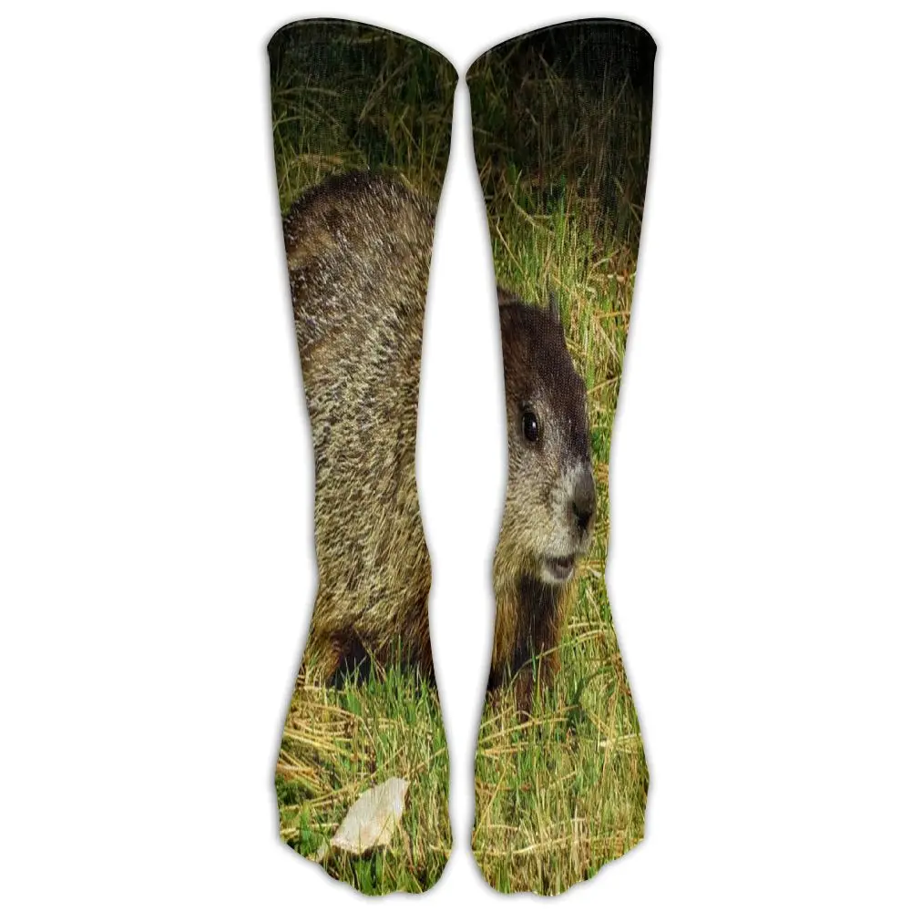 SAMCUSTOM Fashion Knee Socks Women Cotton High Over The Stockings For Ladies cute Marmota 3D Printing Long Stocking | Женская одежда