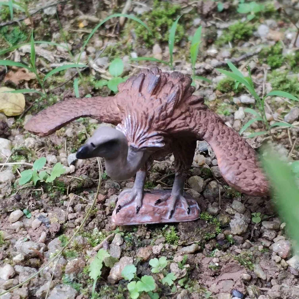 Vulture Bird Фигурки птиц, Имитационные фигурки птиц, модели животных, игрушки для домашнего декора, миниатюрное украшение для сада в виде Феи, орнамент, подарки для детей - Цвет: Vulture Bird