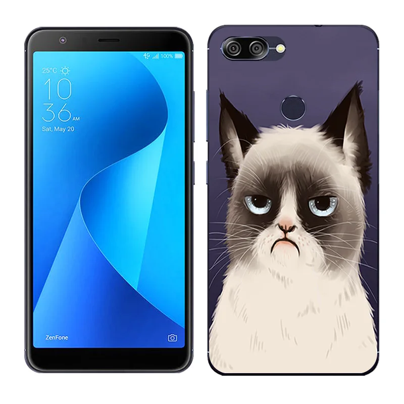 Силиконовый чехол для Asus Zenfone Max Plus M1, мягкая задняя крышка с рисунком Пейзажа для Asus Zenfone Max Plus M1 ZB570TL X018D
