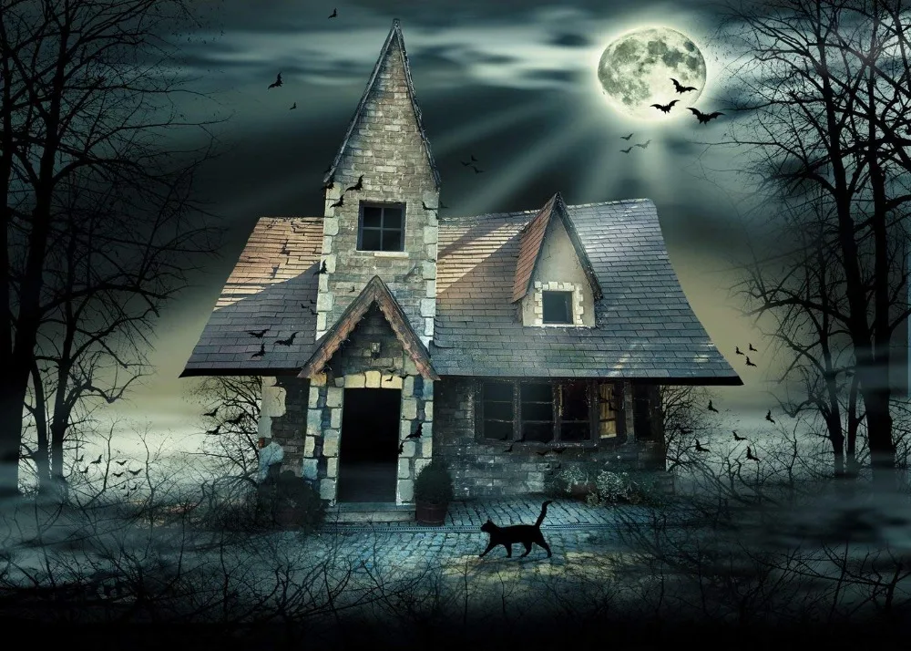Capisco photography backdrops Halloween background shabby house Black cat newborn Backgrounds | Электроника