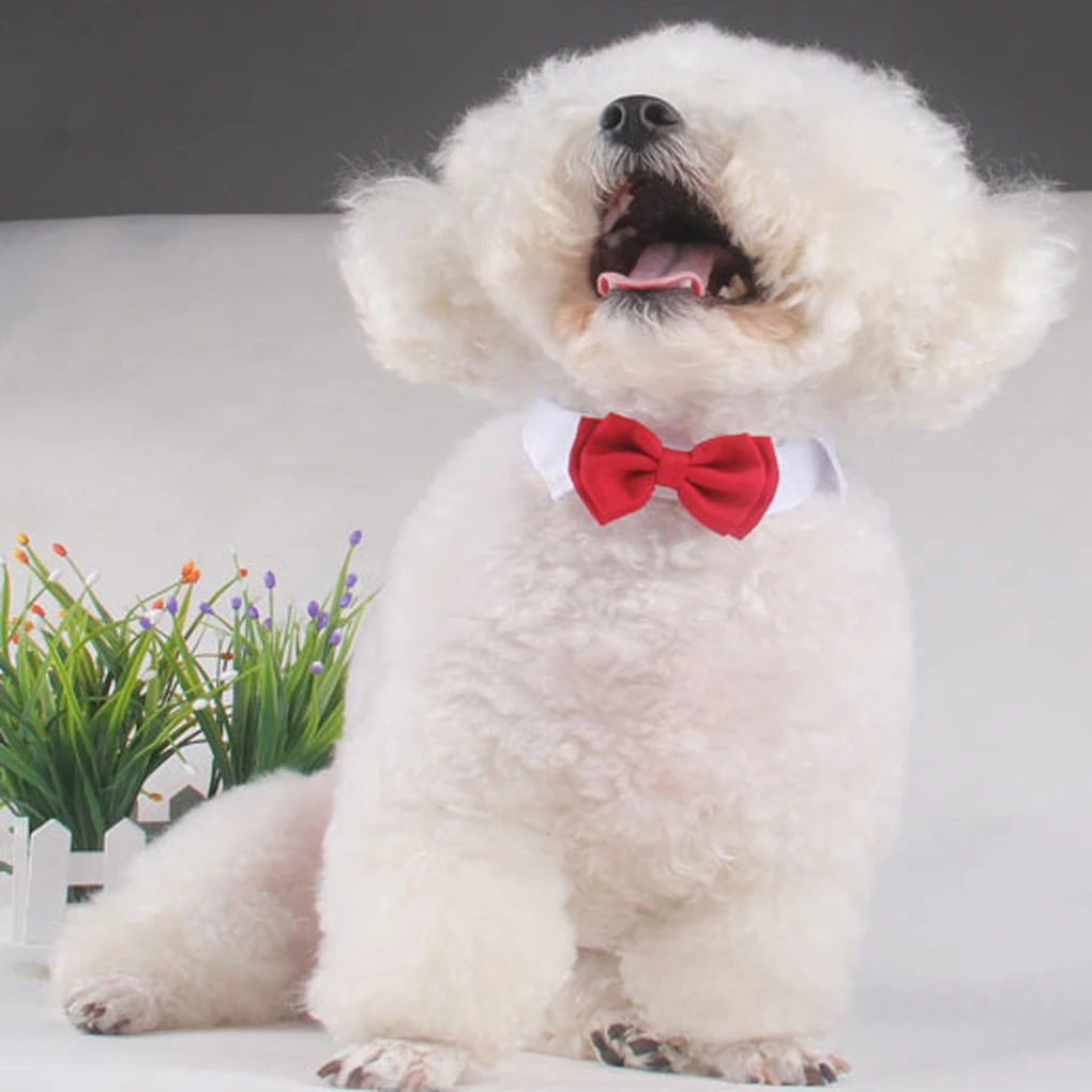 Аксессуары для костюмированной одежды галстук бабочка|pet dog accessories|puppy accessoriespet