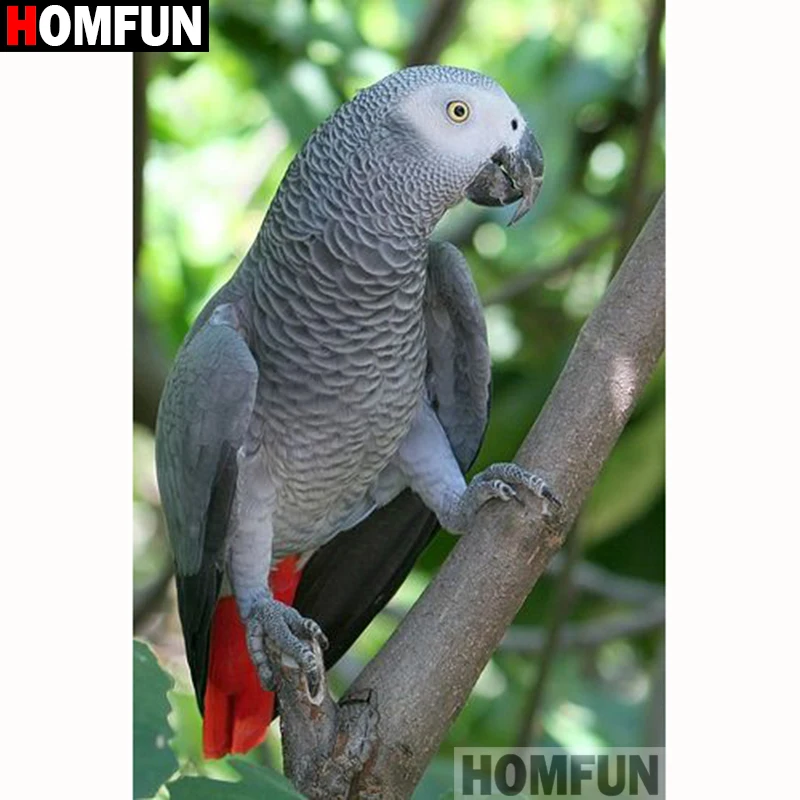 Алмазная живопись HOMFUN попугай картина из квадратных/круглых страз 5D сделай сам