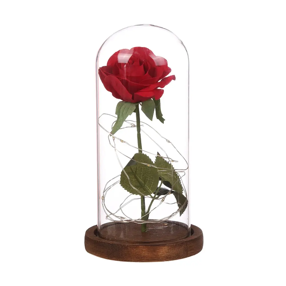 Floral Decor Simulation Rose Glass Cover Luminous LED Hotel Festival Ornament Birthday Gift Flashing Light String | Дом и сад