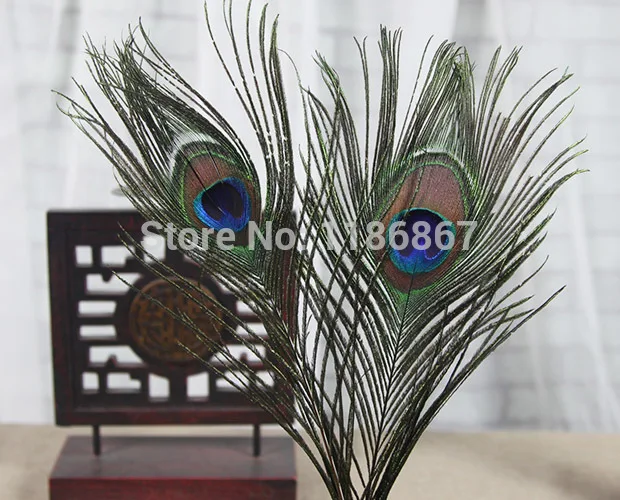 

free shipping 100pcs/lot length 60-70cm peacock feather peacock tail feathers