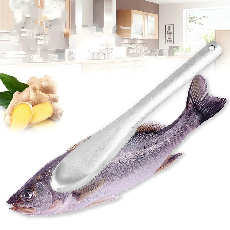 

Fish Cleaning Tools Scraping Scales Fishing Barbecue Buffet Tool Brush Scraping Scales Fish Cover Kitchen Utensils 3pcs/lot