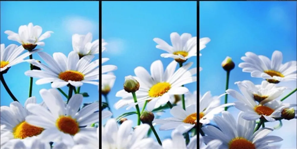 3 предмета в комплекте рамке настенные картины подарок украшение дома Печать