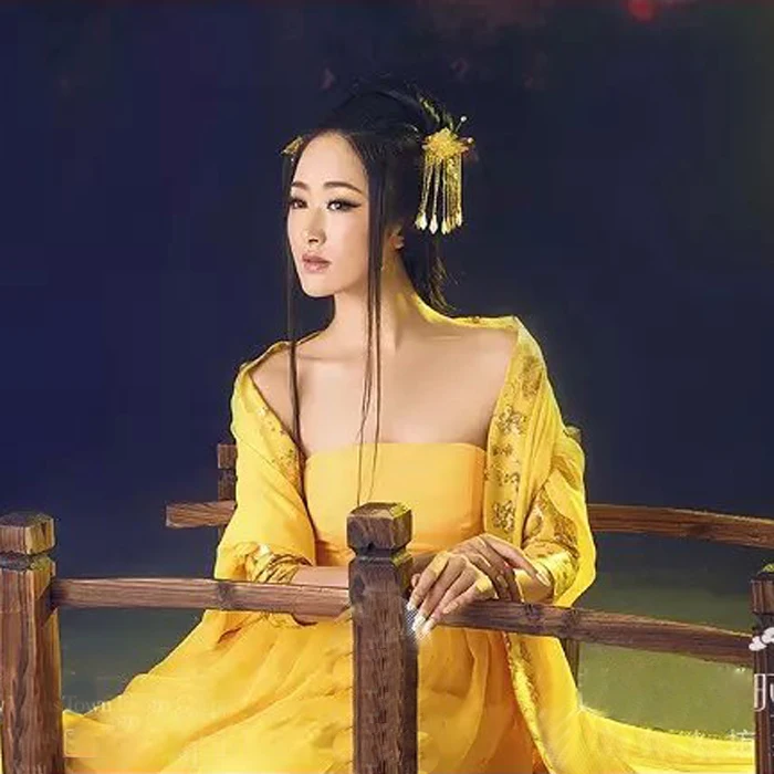 Фэн Цин Ву Красота Женщины династии Тан Empress костюм Древний китайский костюм выставочный дизайн