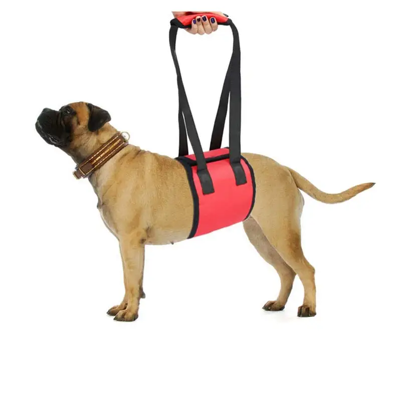 Portable Elderly Disabled Pet Dog Auxiliary Belt Lift Support Go Upstairs Pets Rehabilitation Harness Assist Sling | Дом и сад