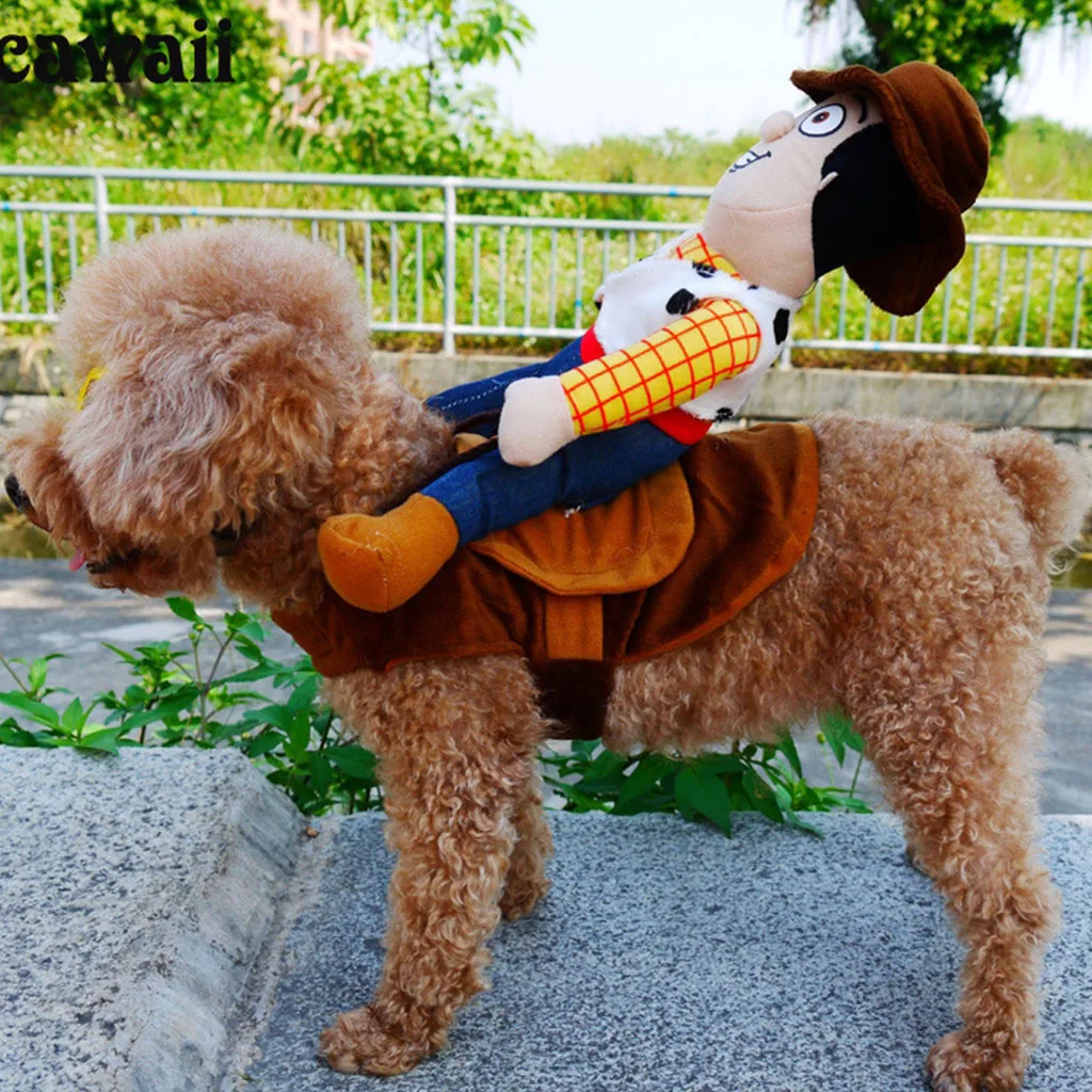 Лидер продаж костюм для верховой езды лошади собаки смешной на Хэллоуин