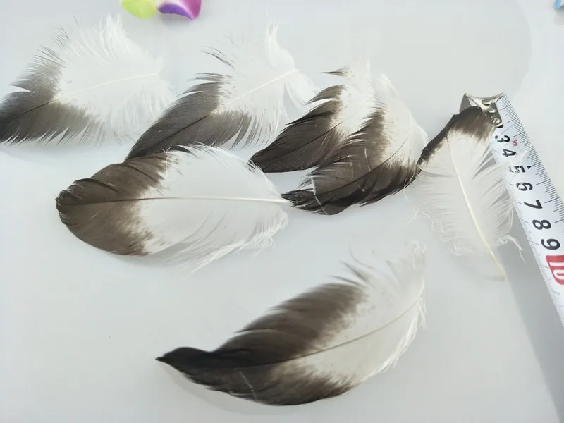 Бесплатная доставка Оптовая продажа 10 шт. дефицитные натуральные золотые перья