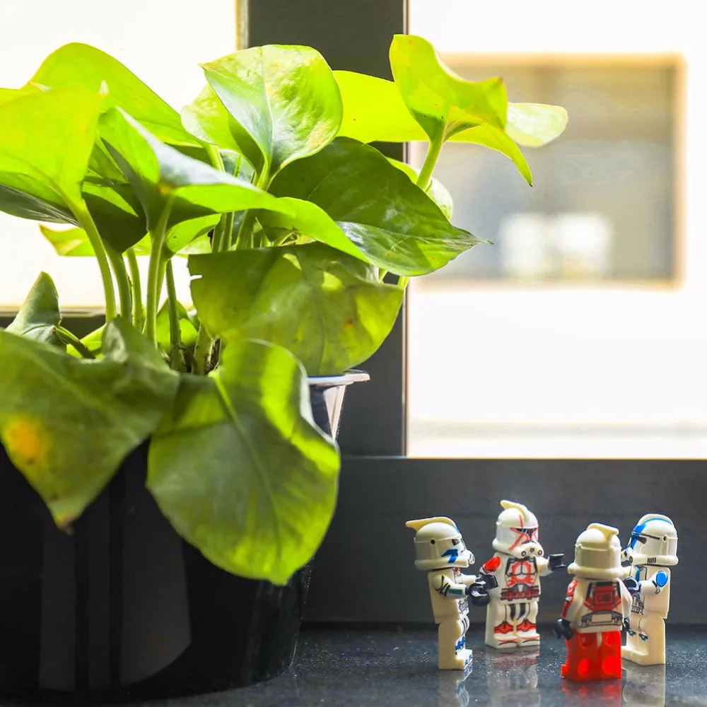 Одинарная банка Jar Binks Штурмовик из "Звездных Войн" Действие самодельные