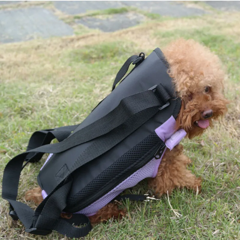 Pet Carrier Canvas Dog Bag Breathable Mesh Backpack Easy Portable Outdoor Riding Hiking Travel Knapsack For Cat Small | Дом и сад