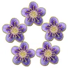 5 шт., вышитые нашивки с цветком сливы