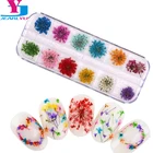 24 шт. сухие цветы для ногтей, настоящие высушенные цветы, 3D украшения для ногтей, Цветочный маникюр, Цветочные наклейки, аксессуары для украшения ногтей