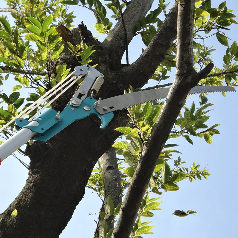 Маникюрный набор ножницы для фруктового дерева нейлоновые высокой высоты|scissors