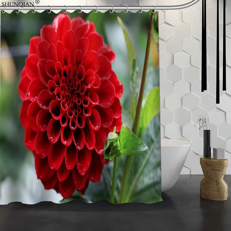 

Dahlia