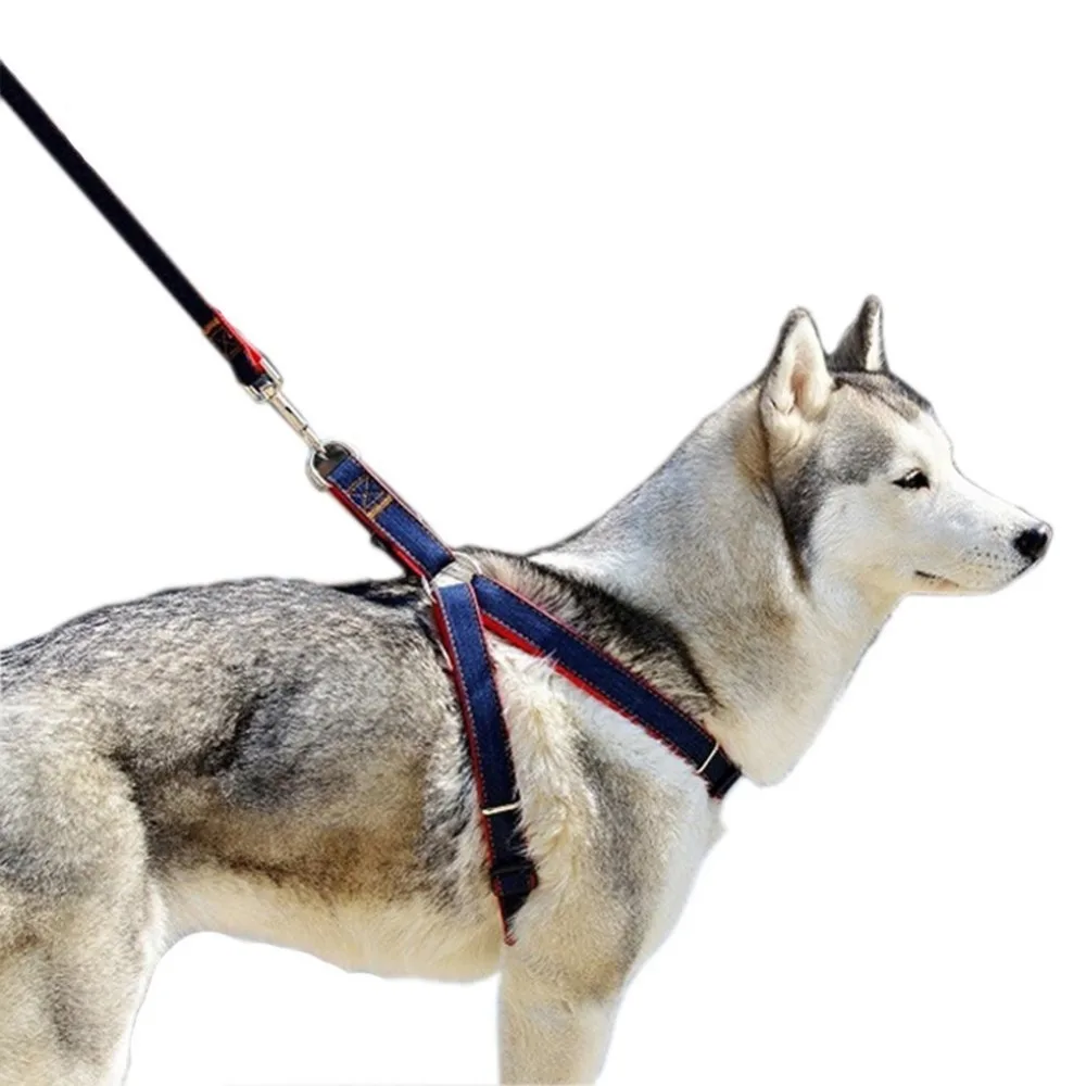 Поводок для собак Джинсовый пояс тренировочная веревка ошейник с дистанционным