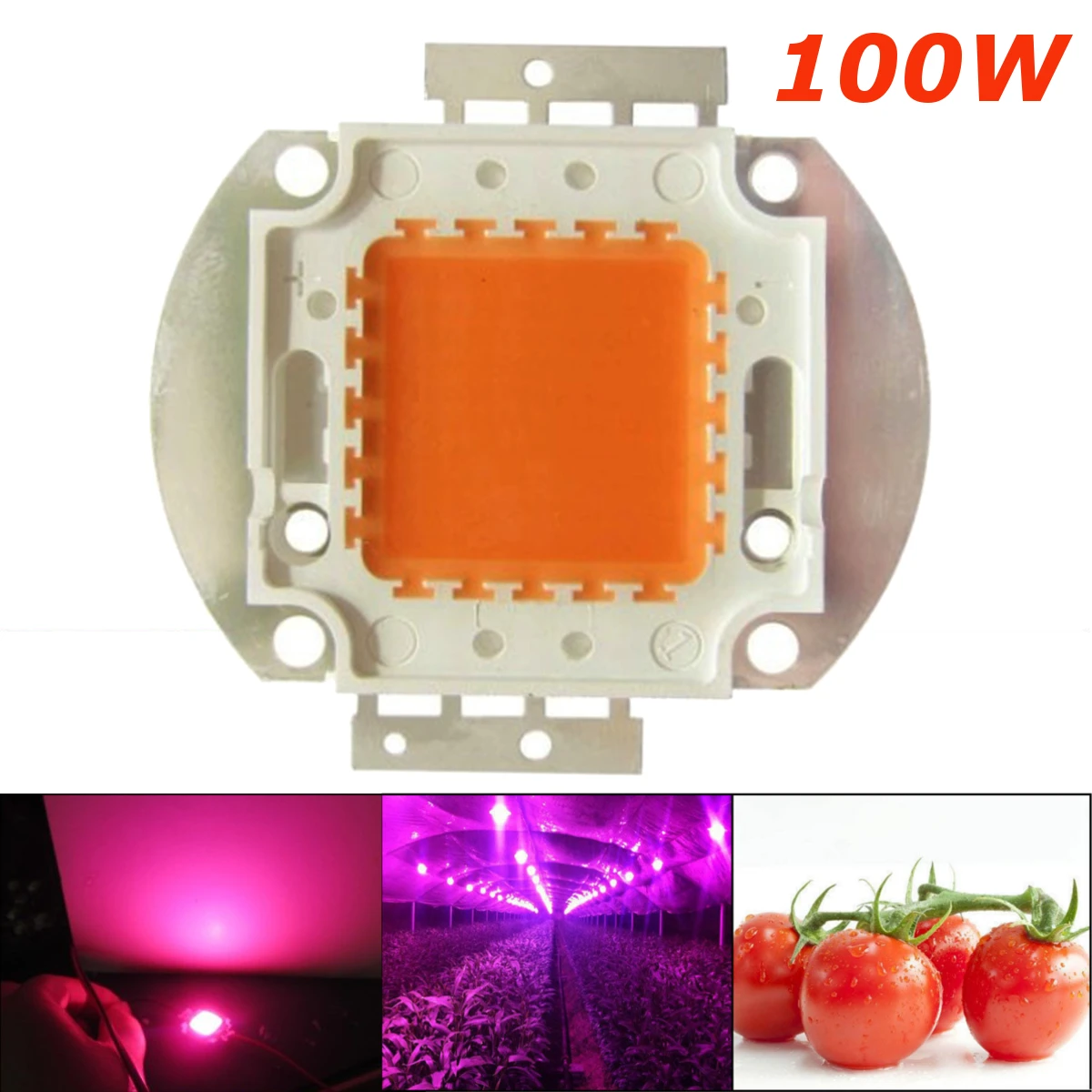 Jiguoor High Power LED Chip Full Spectrum Grow Light Lamp 100W 380nm - 840nm COB Beads for Indoor Plant Growth 1PCS