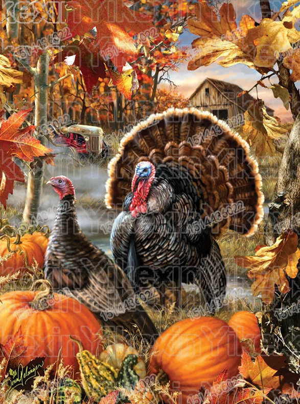 full circular drill Diamond painting Strange bird Cross stitch embroidery decoration | Дом и сад