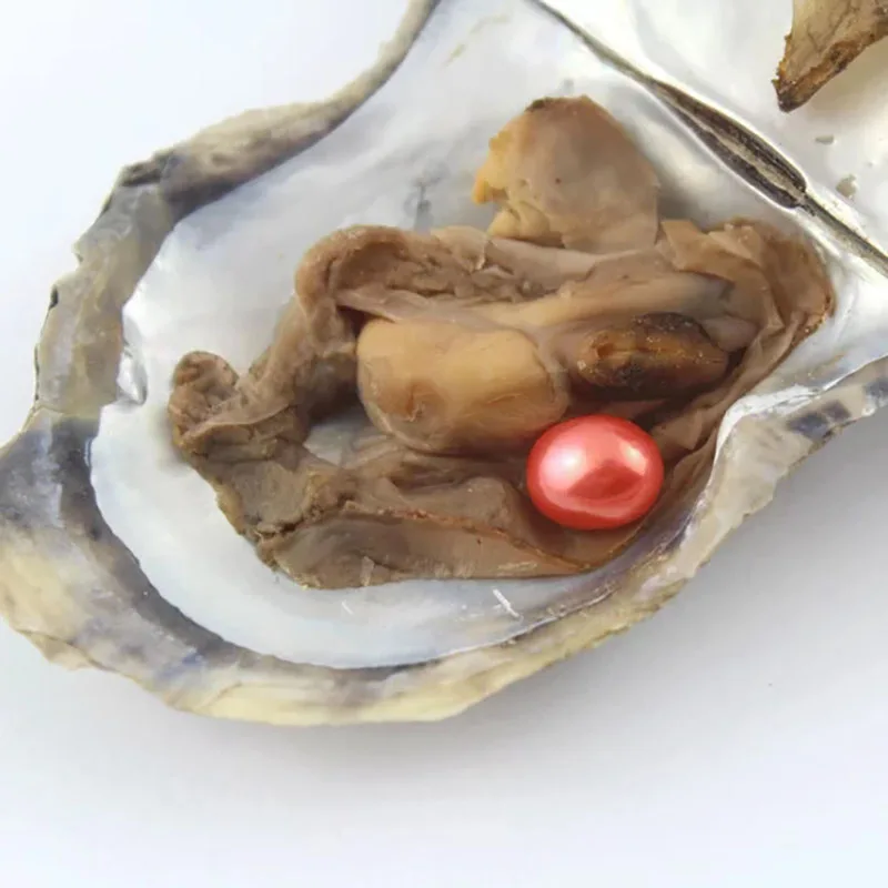 Выгодное предложение 6-8 мм Овальный Форма Жемчуг культивированный Oyster с одной жемчужиной внутри(10 шт./упак