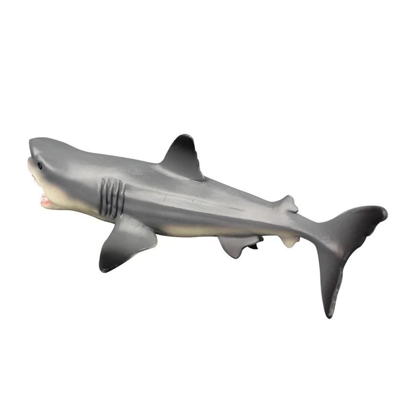 

Megalodon Shark Ocean Education Model Giant Tooth Shark Aquatic Creatures Wild Animals Zoo Modeling Plastic Sea Lift Toy