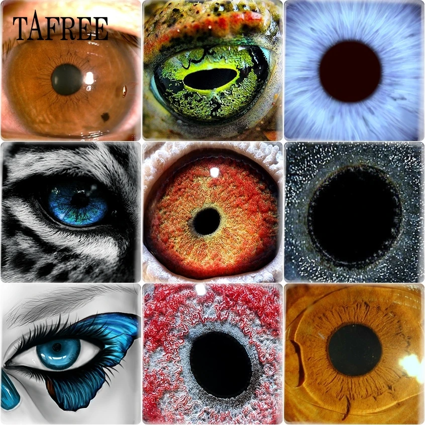 

TAFREE Unique Picture Eye Balls Square Charm Handmade Glass Cabochon Dome 12 mm DIY Jewelry Findings