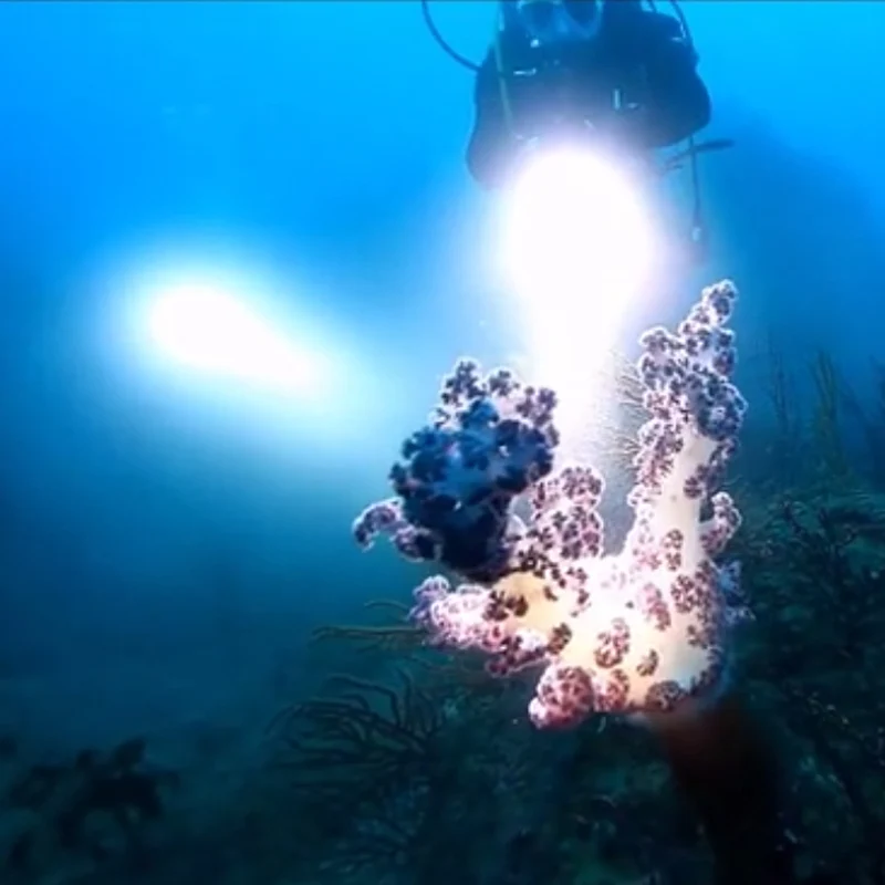 

Litwod Z25D88 Diving Led Flashlight Torch Original CREE XLamp XHP70 5000LM switch ON / OFF Underwater Under Water 150m IPX8