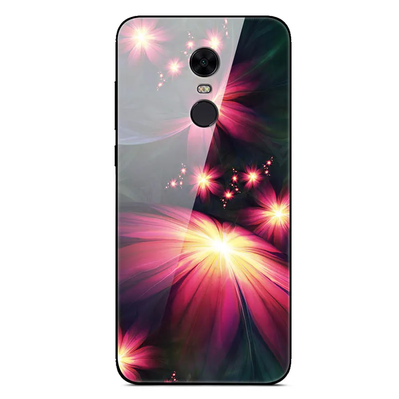 06 Чехол из закаленного стекла для Xiaomi Redmi 5 Plus, мягкий чехол-бампер, 3D Рисунок кошки, чехол для Xiaomi Redmi5 Redmi 5 Plus, чехол для телефона - Цвет: 06