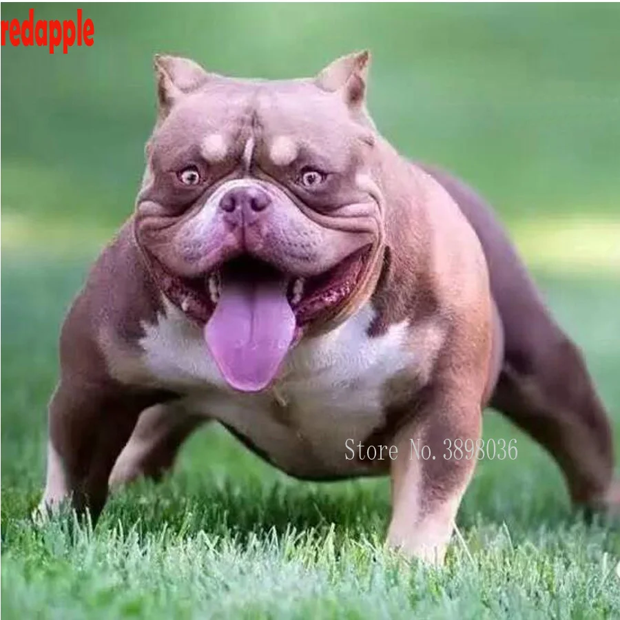 Алмазная вышивка Американский бульт pitbull 5d сделай сам алмазная живопись с