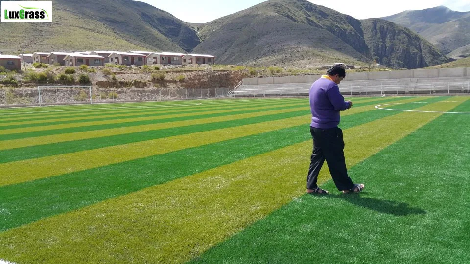 Искусственный футбольный газон|Гимнастика| |