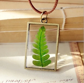 Фомальгаут натуральный Woodsiaceae гербарий кожаная цепочка колье длинное ожерелье с