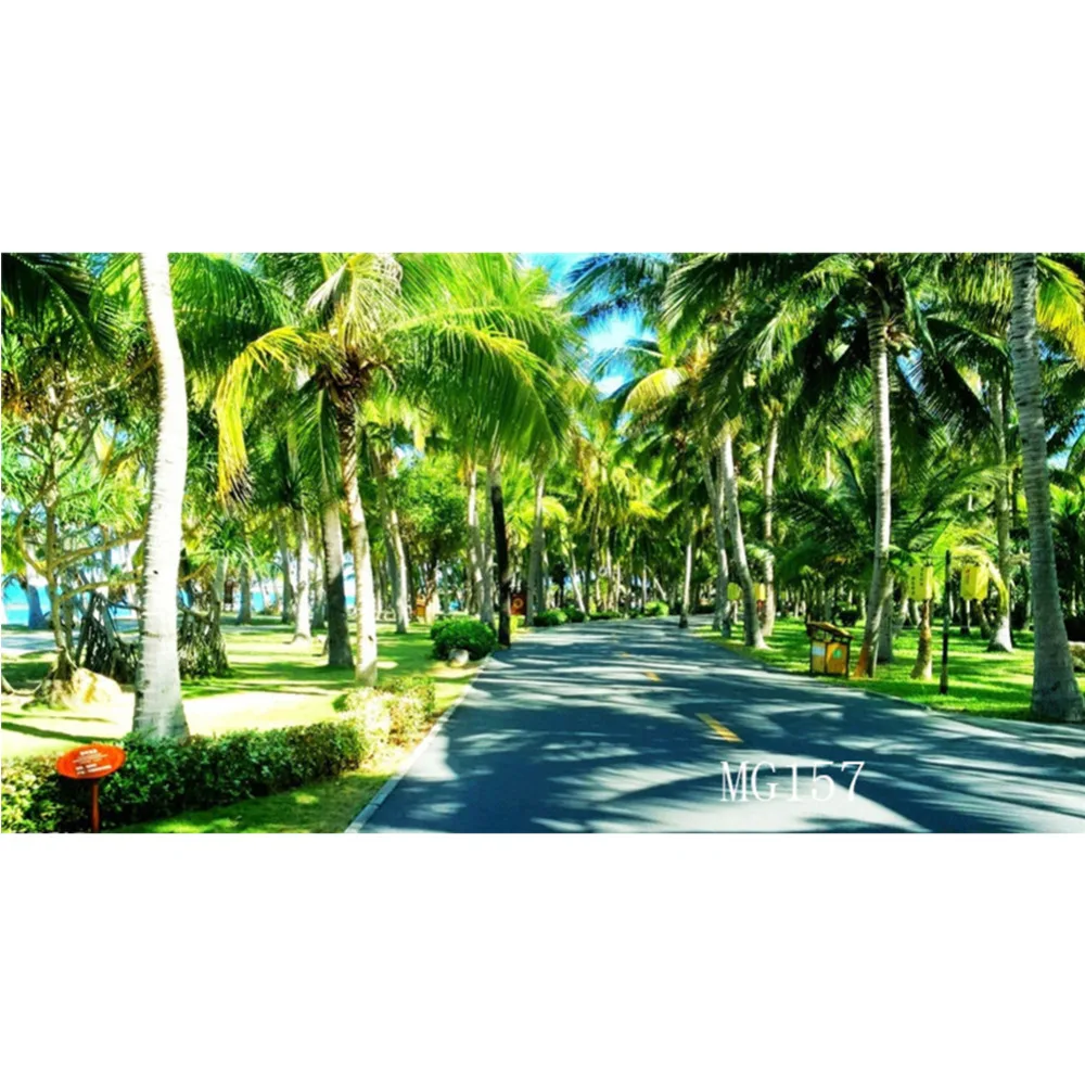 LB ostrov Street тропические деревья природа на заказ виниловые детские фоны фон для