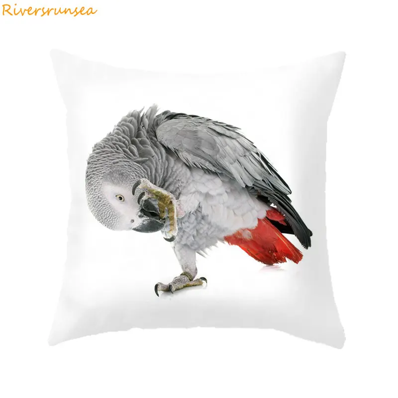 Customized Style Parrot sofaDecorative Cushion cover Colore feather Macaw Monk parrot Sun Budgerigar Houseware Printing Pillows | Дом и сад
