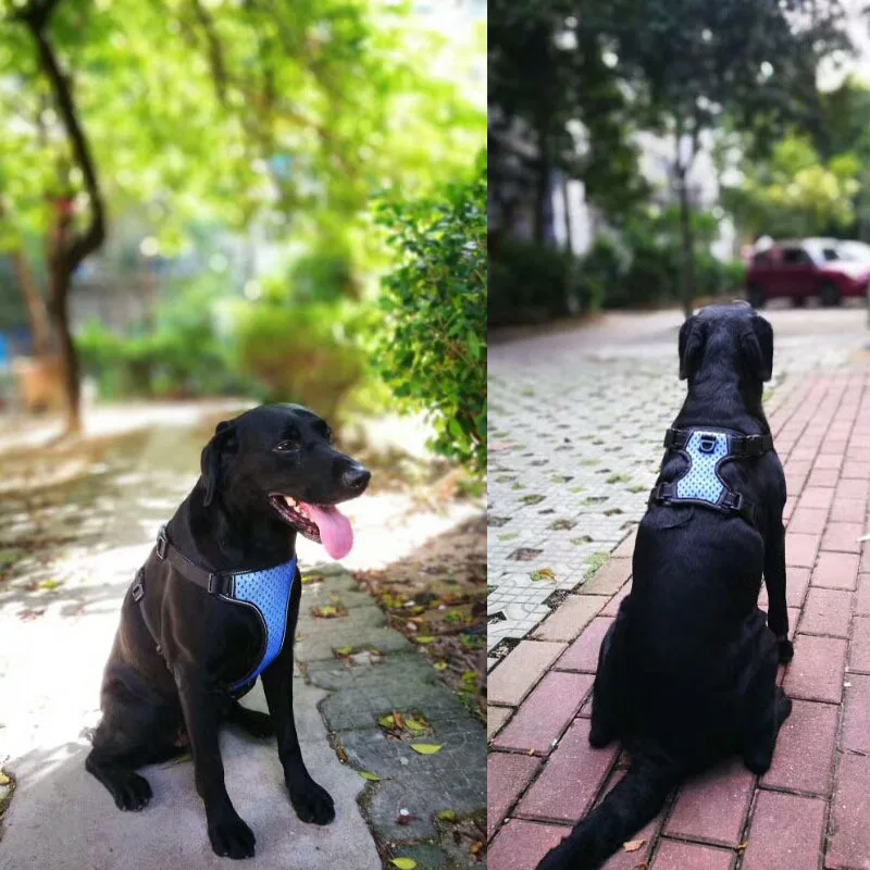 Small Large Dog Harness Vest Nylon Reflective Leads Mesh Padded dog Breathable pet Chest strap for Medium big dogs | Дом и сад