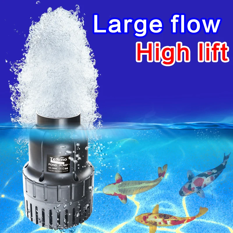 DZ series large flow fishpond pump Power-saving filter circulating wat for outdoor fish pond Fish submersible |