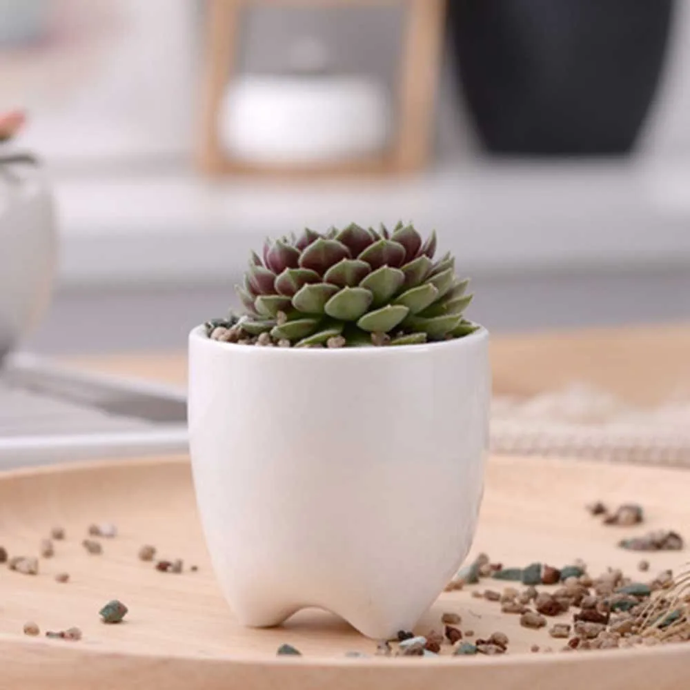 Обтягивающий креативный мини цветочный горшок с зубцами керамический белый для