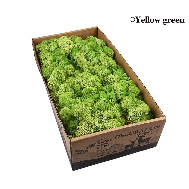 Yellow Green 500 г, сделай сам, нескончаемый мох, 24 цвета, натуральный настоящий мох, декоративный цветок для дома, сада, вечерние, свадебные декорации - Цвет: Yellow Green